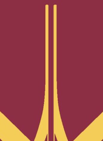 Bildet som ble hacket fra Scandinavian Hammers sin server.